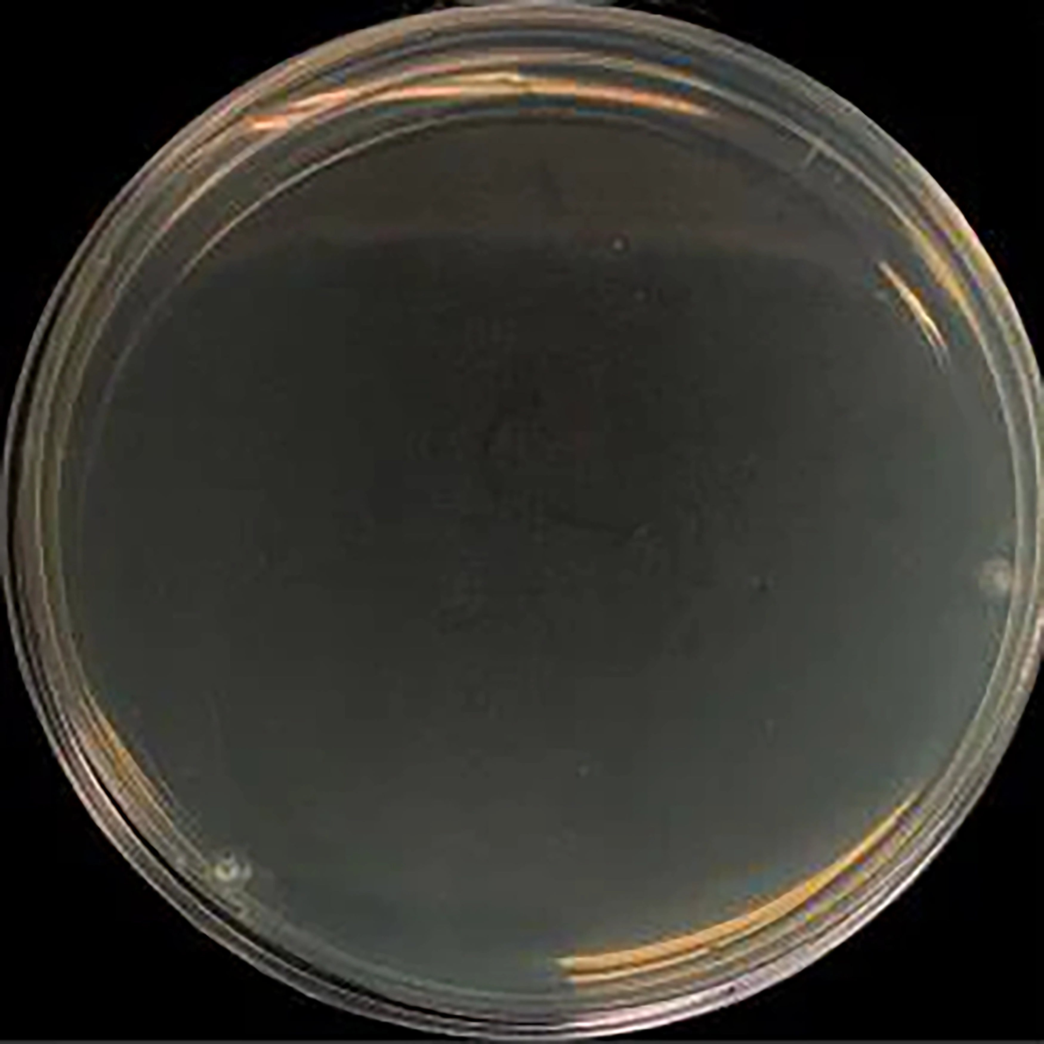 Silver Containing 316L Stainless Steel Injection Molding Products Are Antibacterial