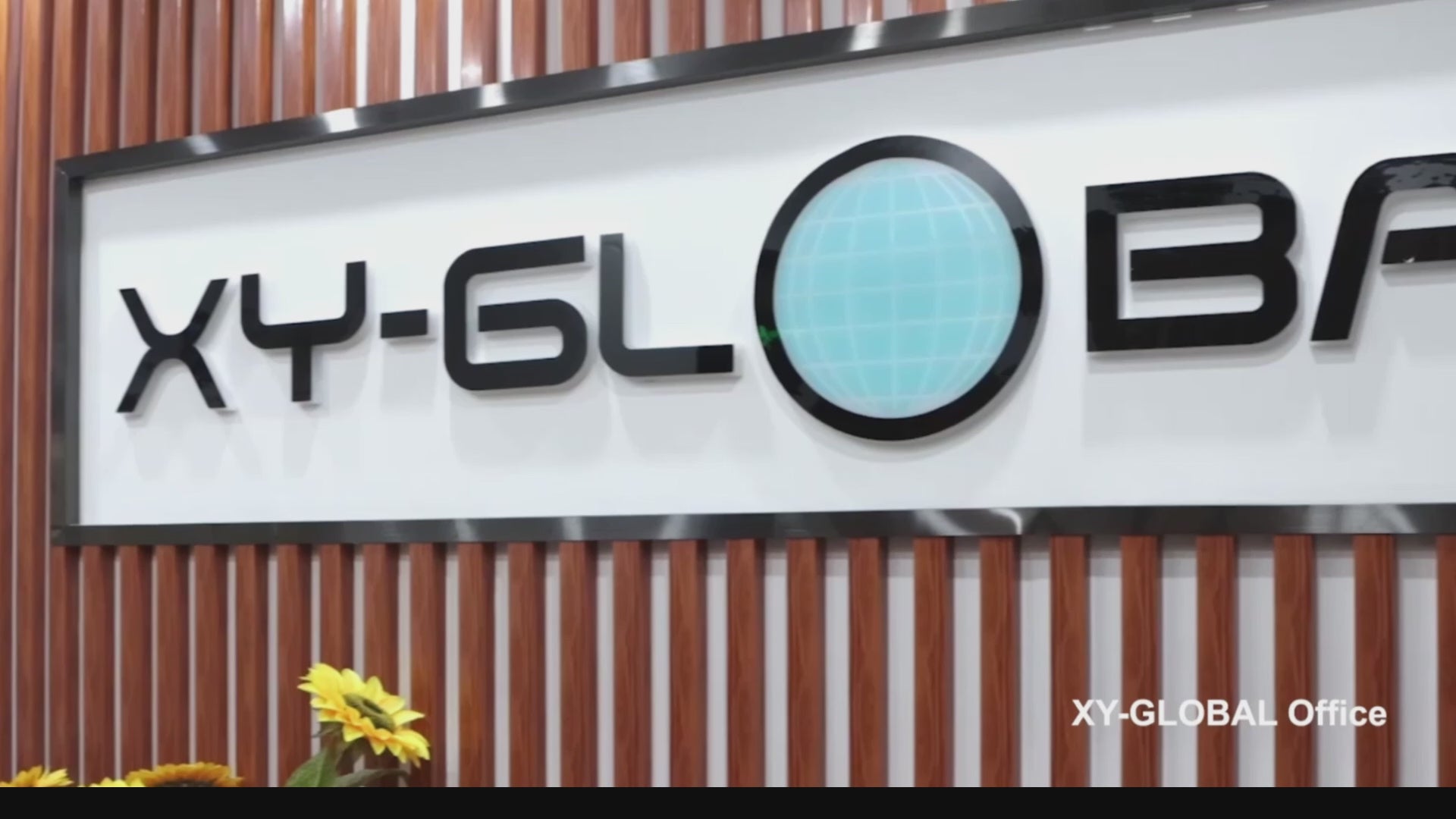 Load video: Metal Injection Molding Process Service from China Factory MIM-Supplier